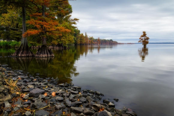 Reelfoot Park Groundbreaking