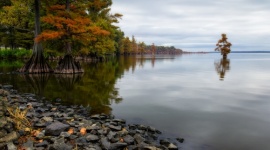 Reelfoot Park Groundbreaking